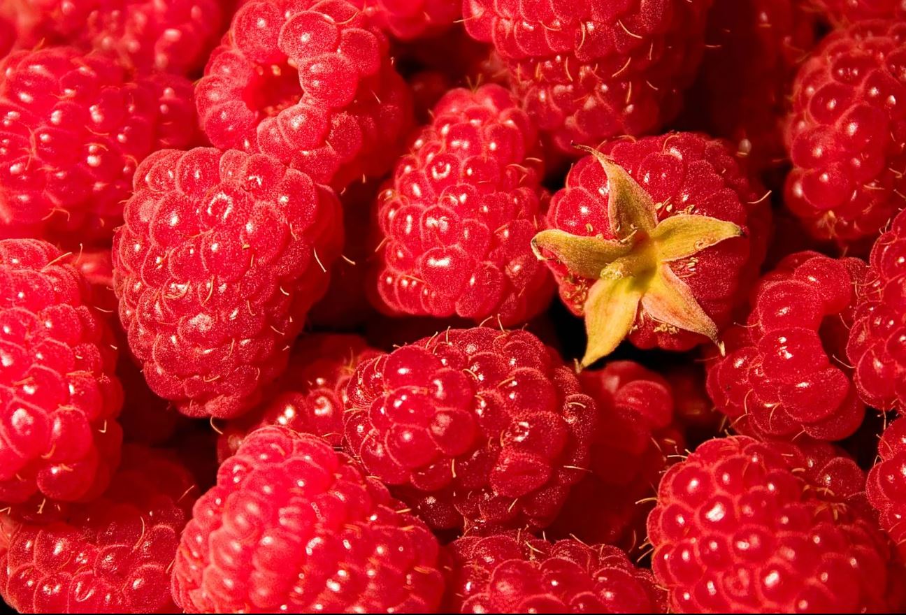 Raspberries: Health Benefits