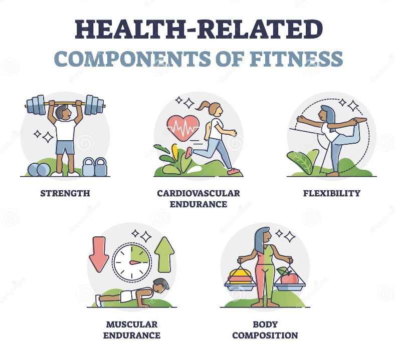 5 Health Related Components of Physical Fitness